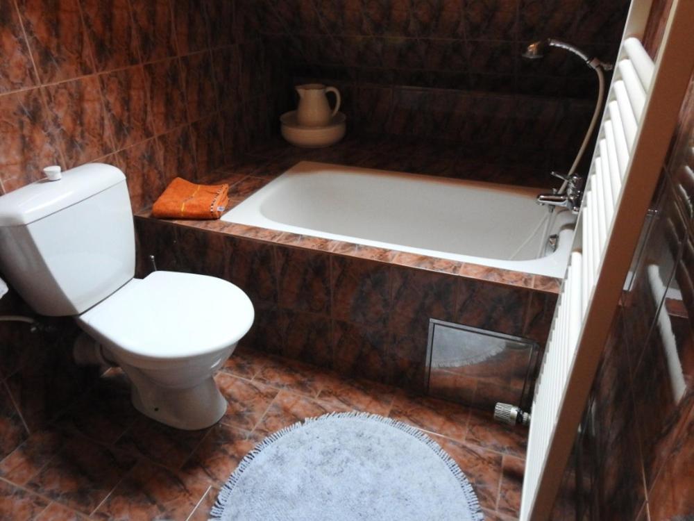 Salicka Bozkov Holiday home *